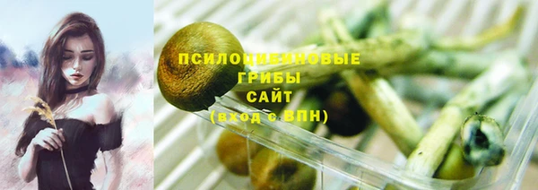 марихуана Белокуриха