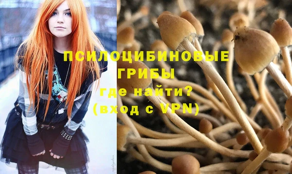 экстази Баксан