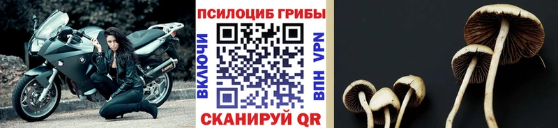 Псилоцибиновые грибы ЛСД Кондрово